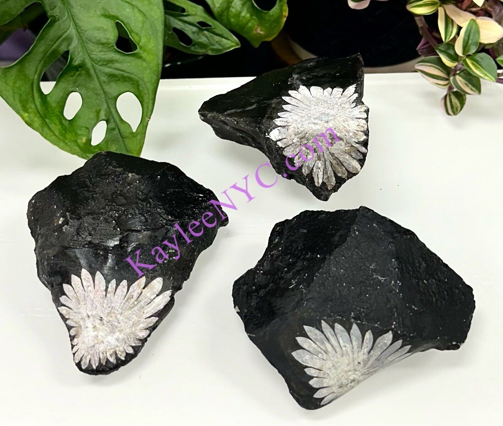 Wholesale Lot 3 Pcs Natural Chrysanthemum Stone Crystal Raw
