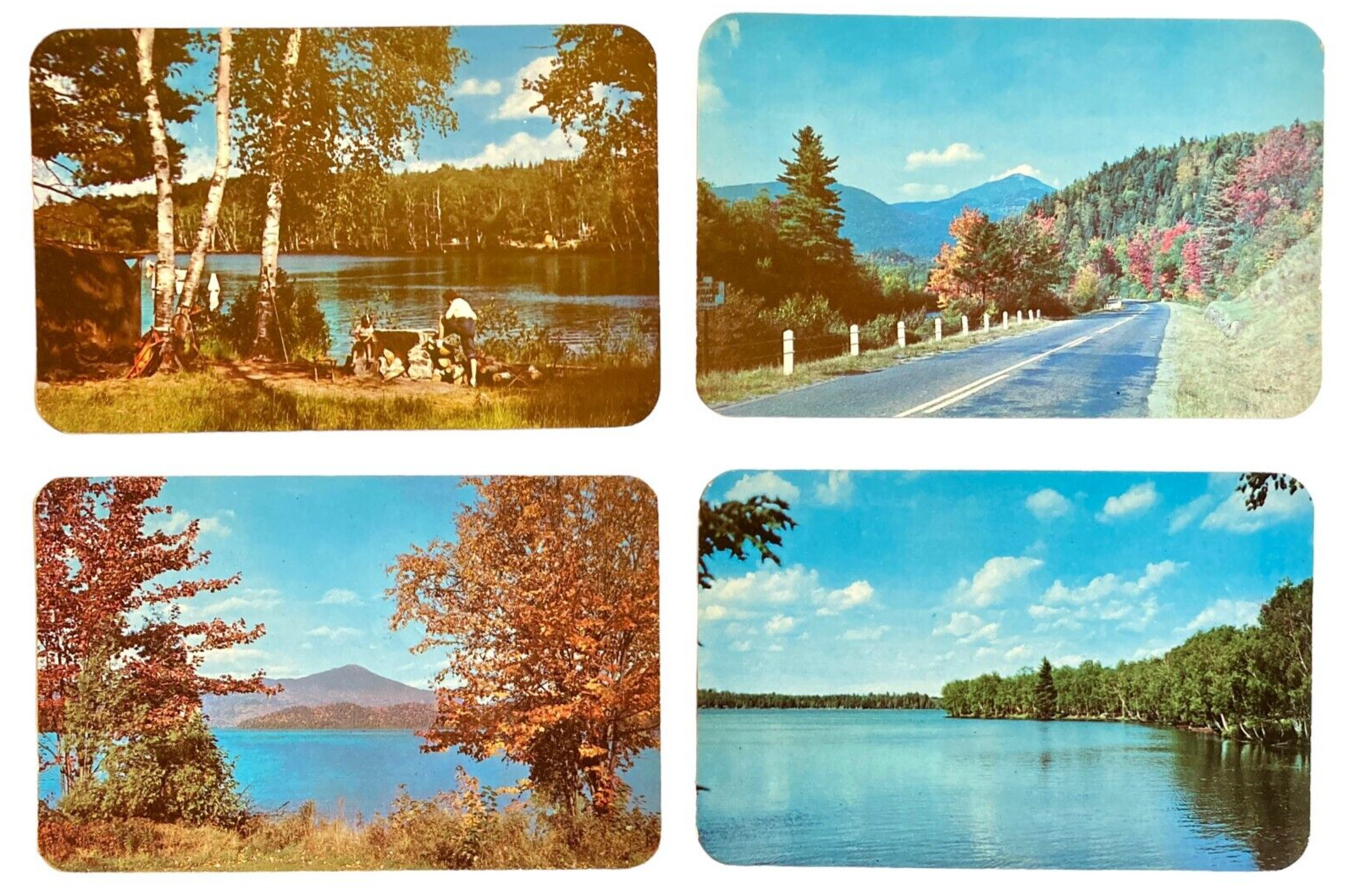 NY Adirondacks Postcards 4 RPPC VTG 1952 Autumn Foliage Fish Creek Pond Campsite