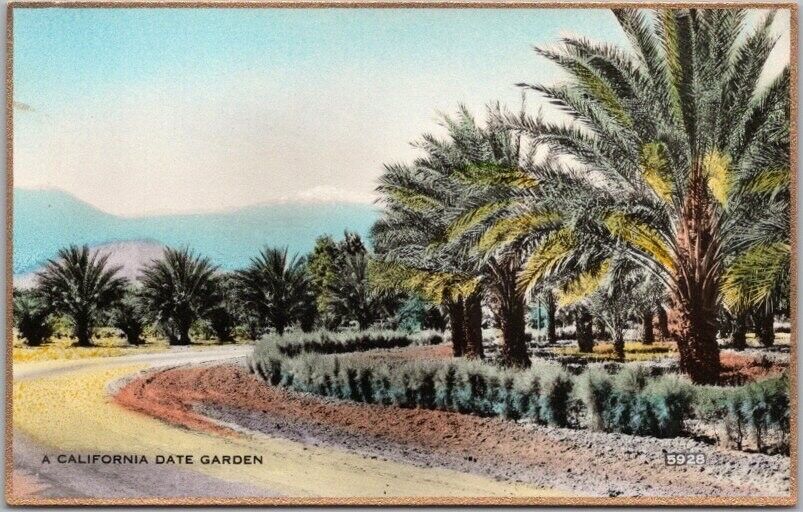 Vintage CALIFORNIA Hand-Colored RPPC Postcard \