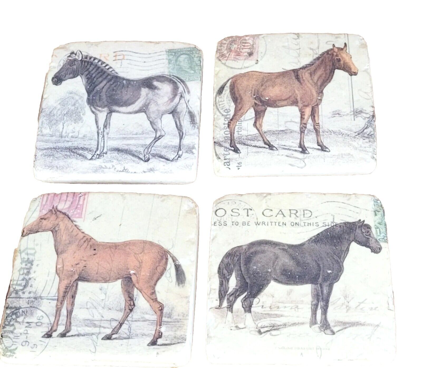 Rare gift Prehistoric Horse Coasters Hand Painted rare and unique 
