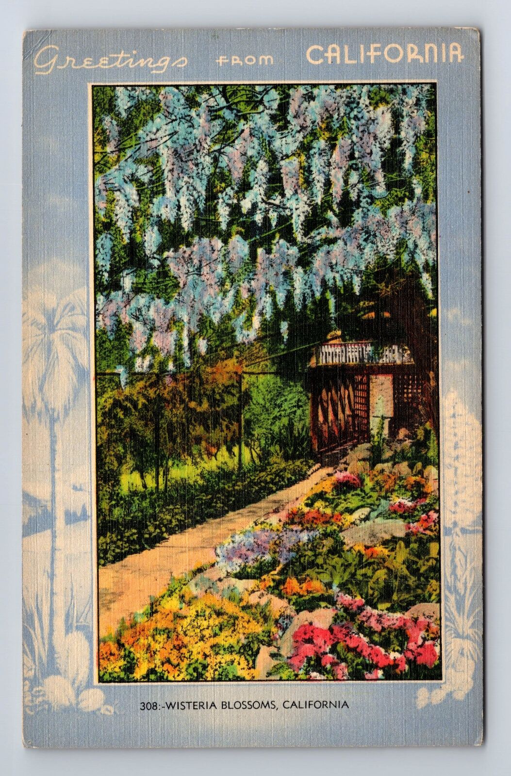 CA-California, Scenic Greetings, Wisteria Blossoms, Antique Vintage Postcard