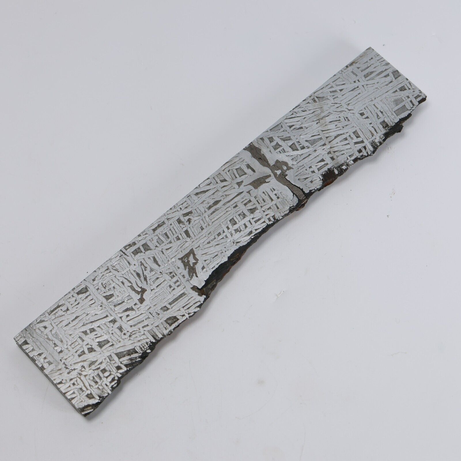 214g Muonionalusta meteorite slice R1959