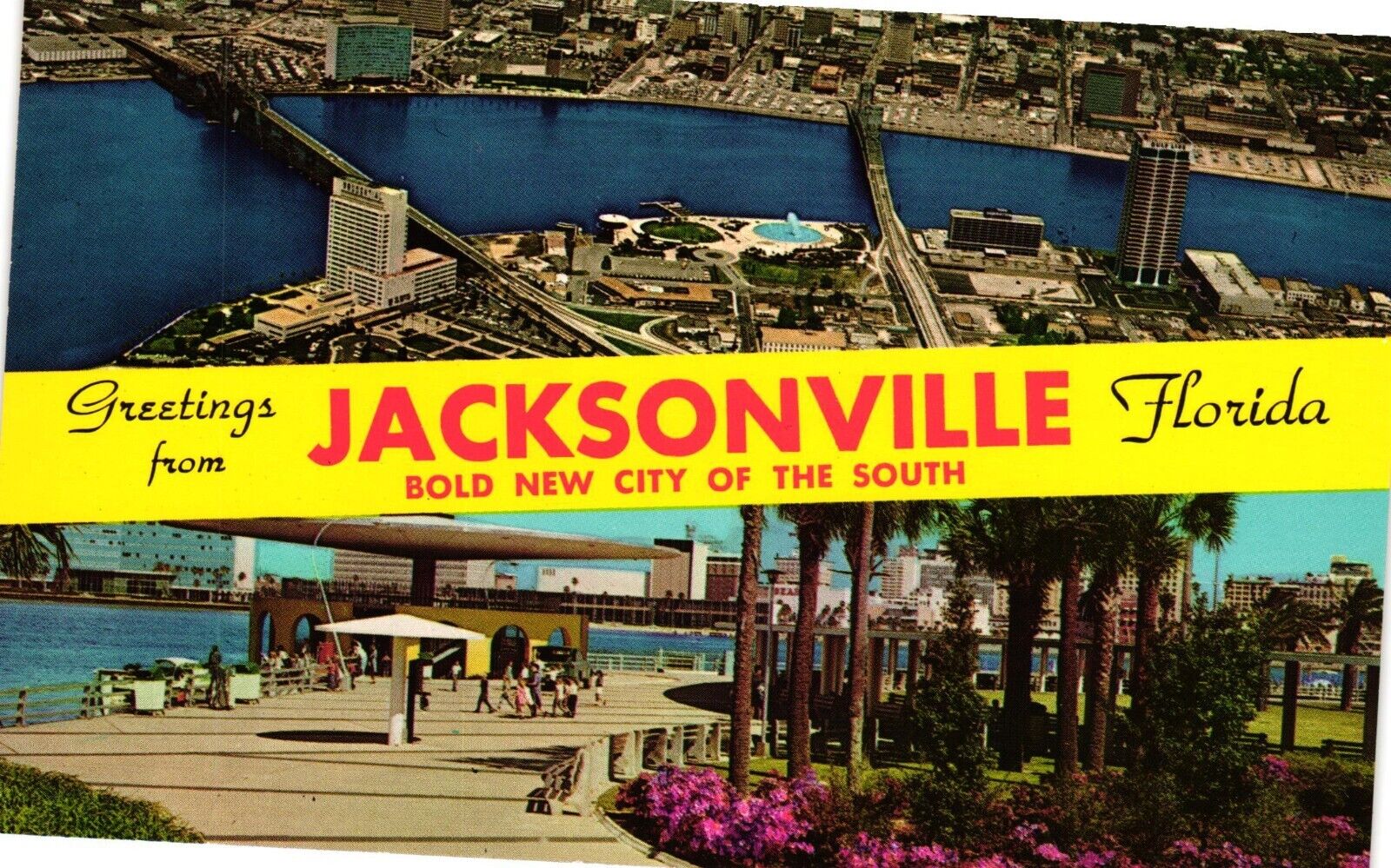 Greetings From Jacksonville Florida FL Vintage Postcard ST Johns River Un-posted