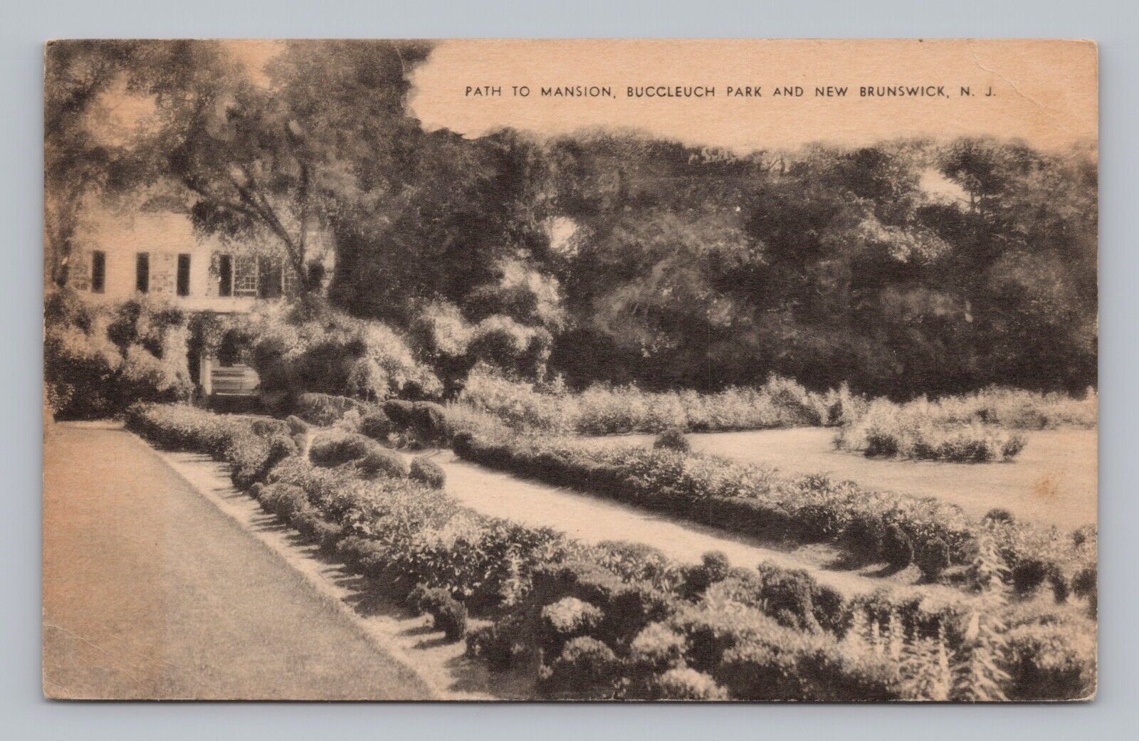 Postcard Path to Mansion Buccleuch Park New Brunswick New Jersey c1941 Sepia