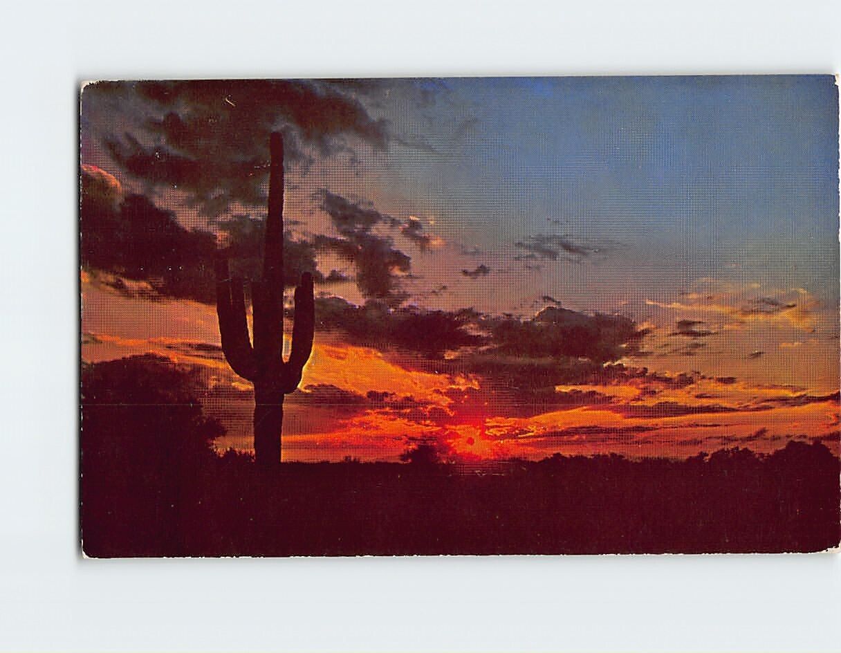 Postcard Saguaro and Sunset Scene