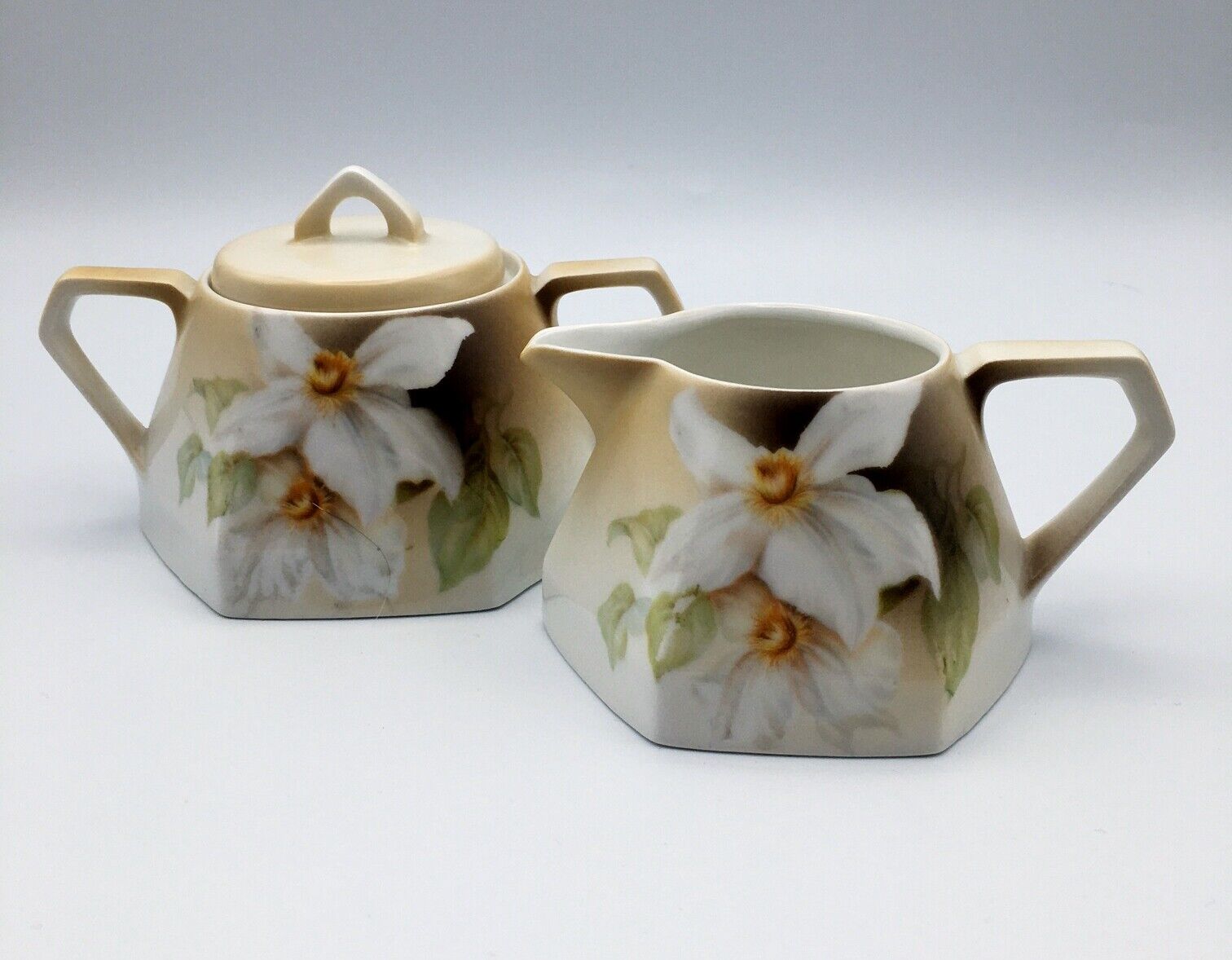 Vintage RS Germany Hand Painted Porcelain Creamer And Sugar With Top