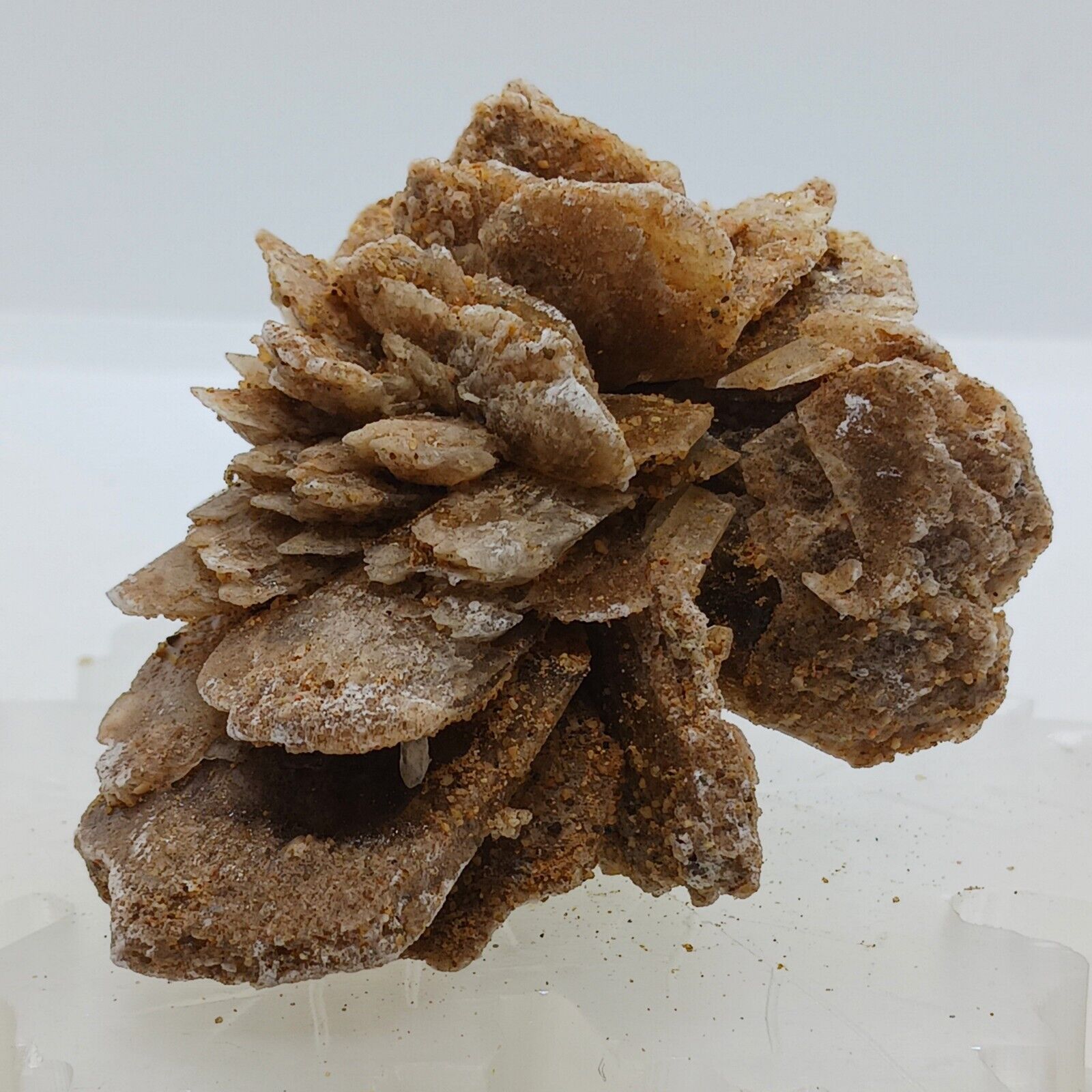 Desert rose specimen High Quality Raw Desert Rose Crystal Stone Desert Selenite 