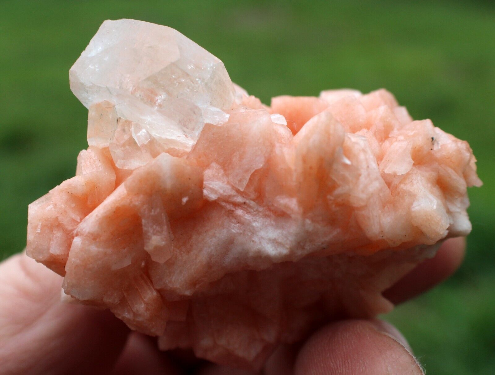 clear Apophyllite on orange Stilbite, minerals, crystals, mineral specimens