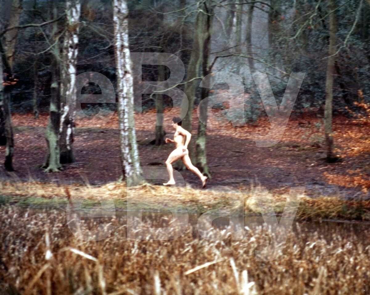 An American Werewolf in London (1981) David Naughton 10x8 Photo