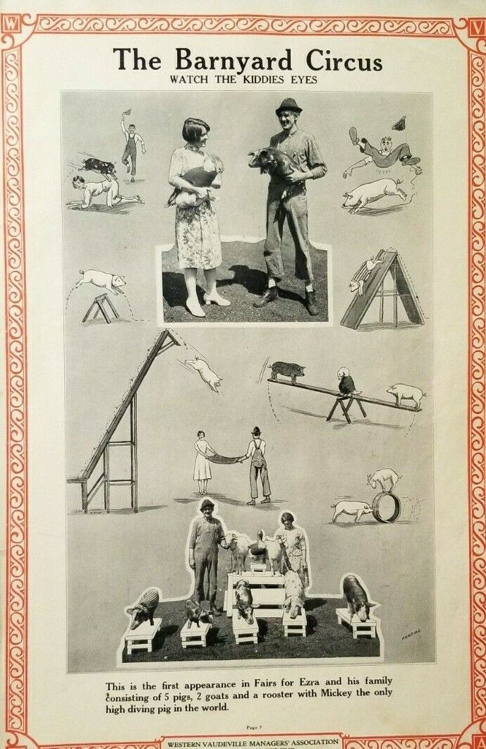 Antique 1926 Vaudeville Act Poster BARNYARD CIRCUS Farm Animal Act DIVING PIG B6