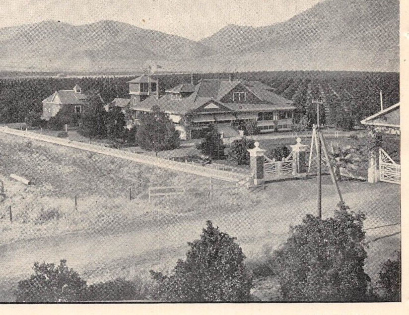antique 1906 PORTERVILLE CA Tulare County Orange Groves Dairy Farms Resort