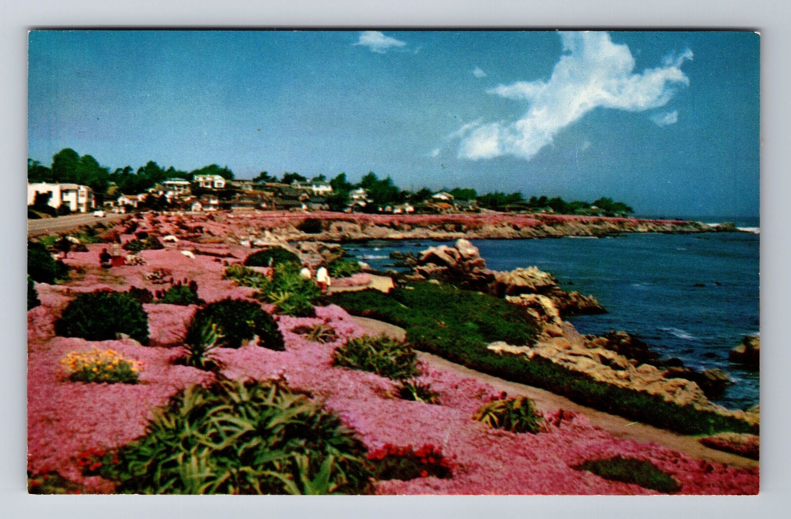 Pacific Grove CA-California, The Magic Carpet, Antique Souvenir Vintage Postcard