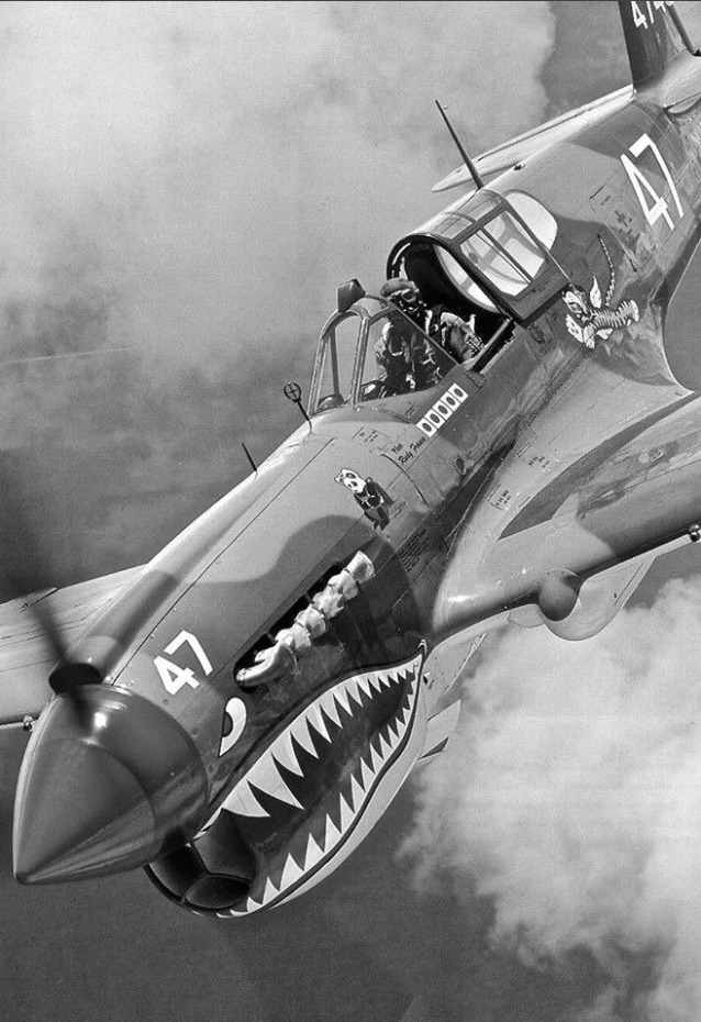 WW2 WWII Photo P-40 Warhawk Flying Tigers AVG  USAAF World War Two / 5461