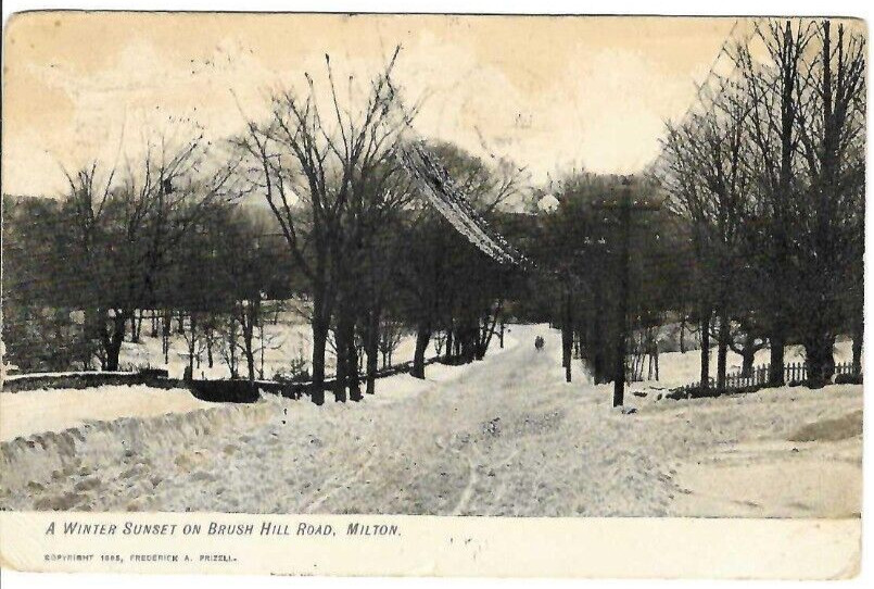 Postcard Brush Hill Road Milton MA Undivided Posted 1908 Winter Snow