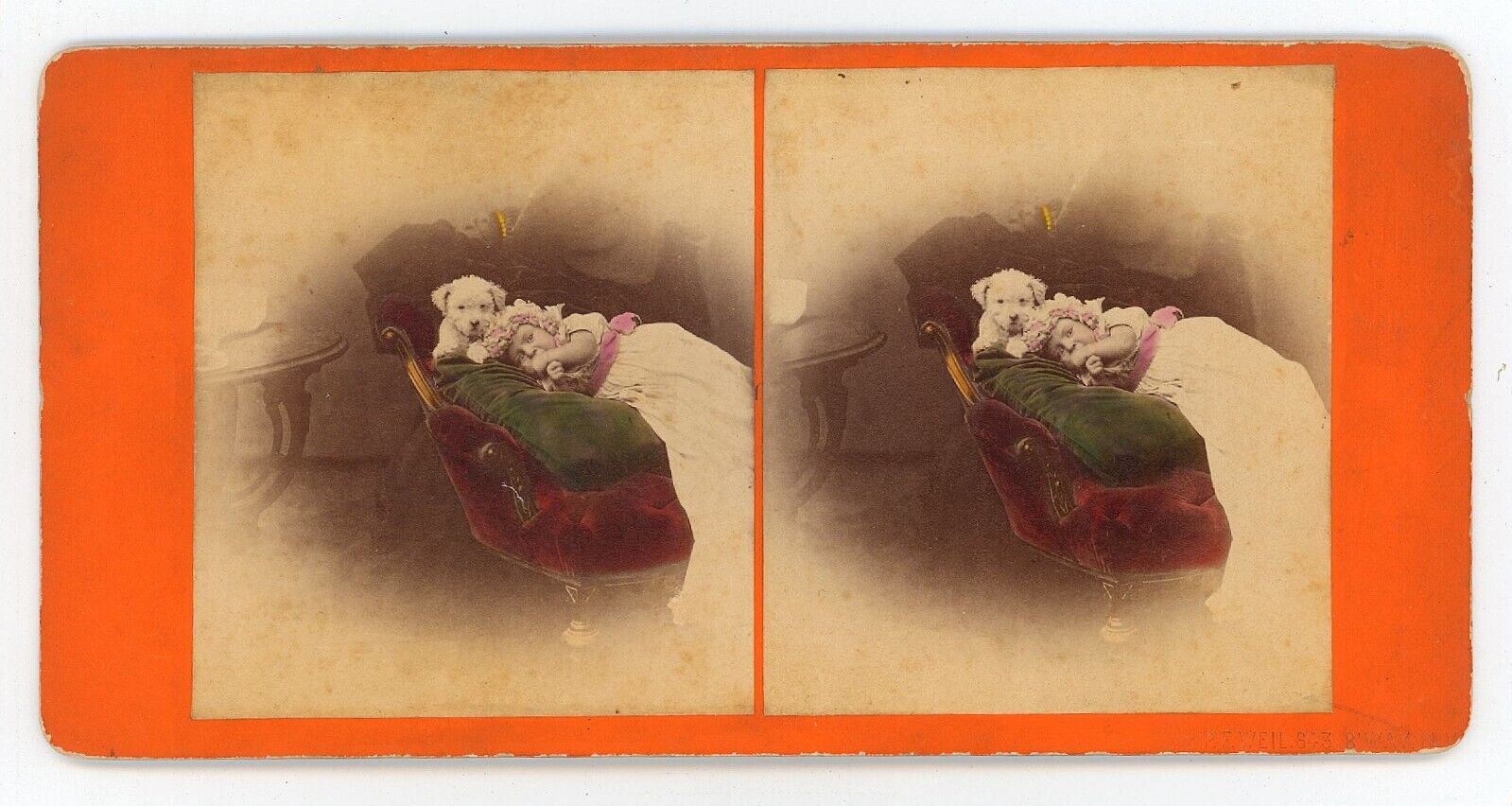 c1900's Hand Tinted RARE Stereoview Adorable Baby Girl on Chair With Puppy, NY