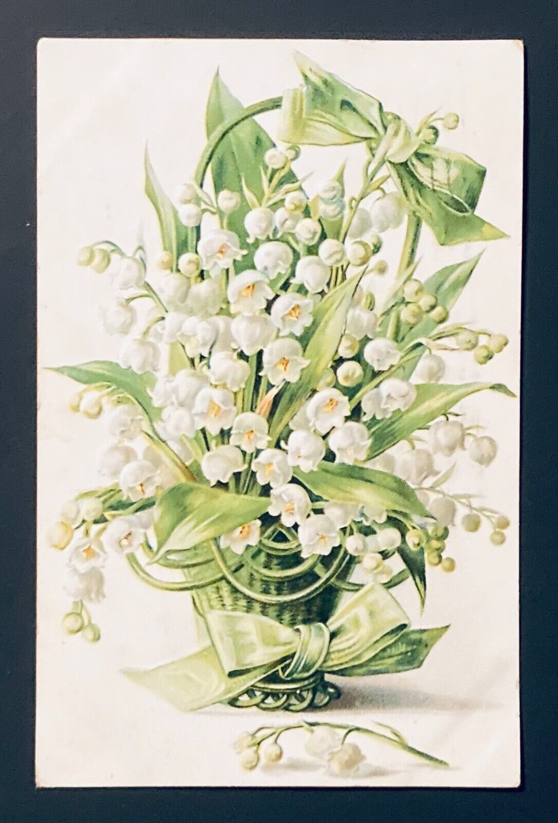 Raphael Tuck & Sons Flower Offerings Postcard 127 1909
