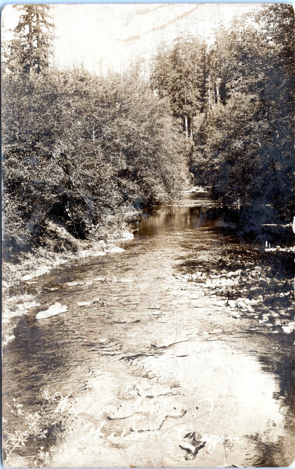 Wilson River Oregon RPPC Real Photo Postcard 1915 OE