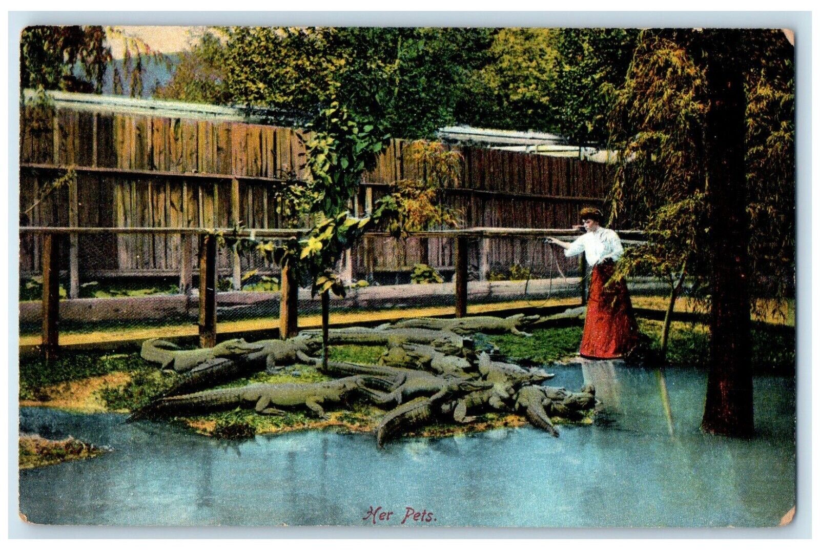 c1910's Women And Her Pets Alligator Florida FL Unposted Antique Postcard
