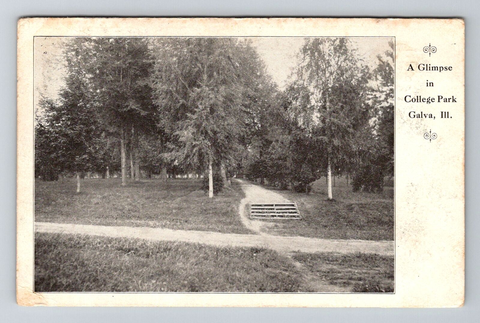 Galva, IL-Illinois, Glimpse In College Park Antique c1909, Vintage Postcard
