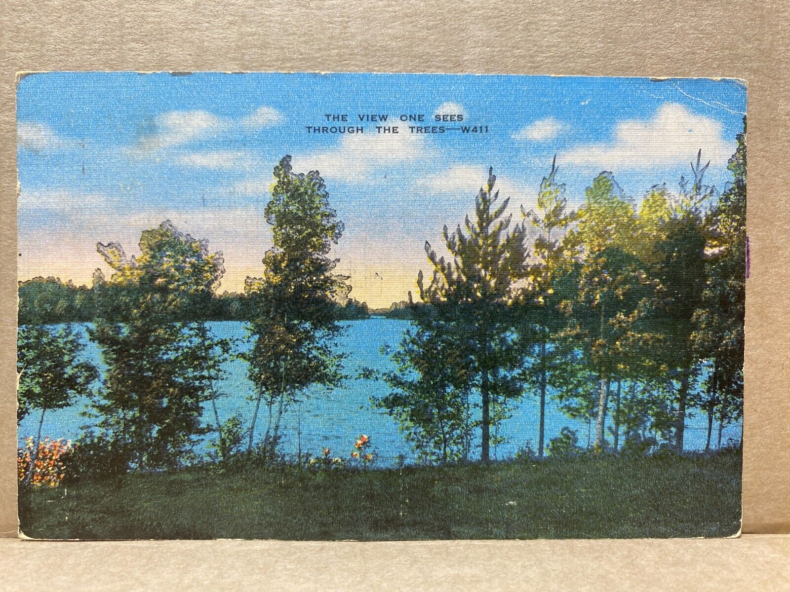 The View One Sees Through the Trees Linen Postcard No 1765