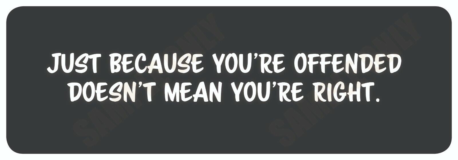 Just because you\'re offended doesn\'t mean your right Bumper Sticker  TRUMP 2024
