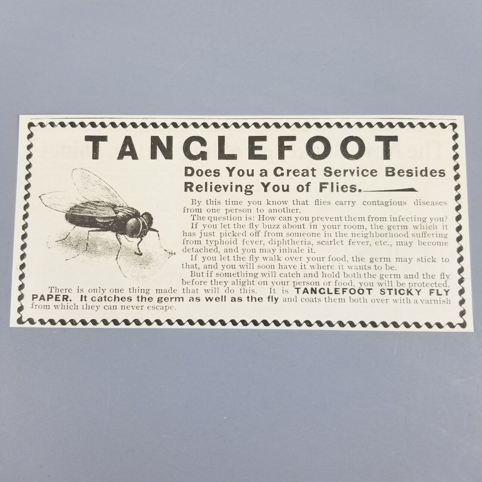 Antique 1905 Print Ad, TANGLEFOOT Fly Advertising,  Paper
