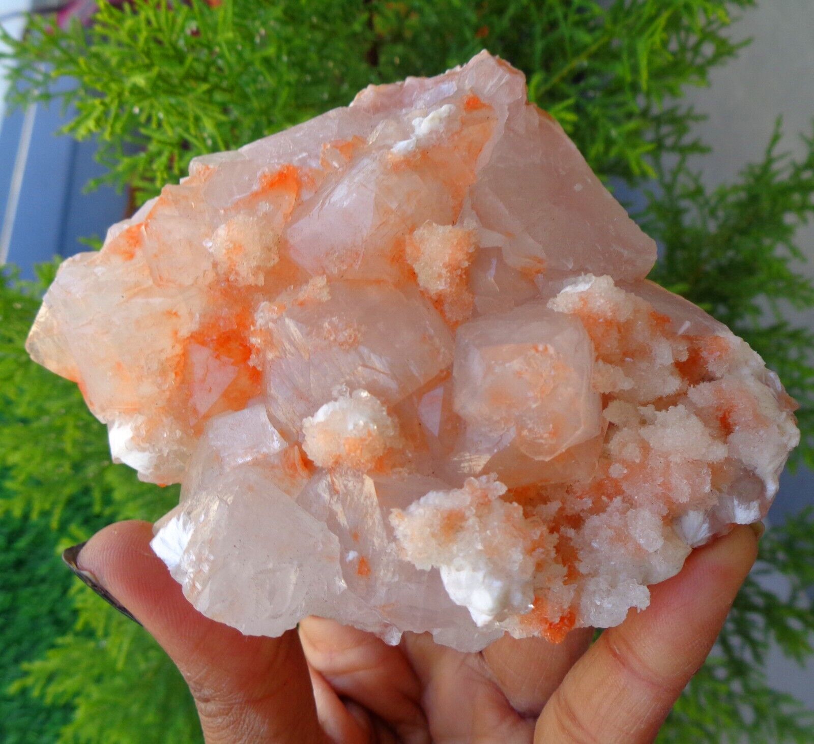 Orange Apophyllite Crystals w/ Okenite On Matrix Minerals Specimen #E34