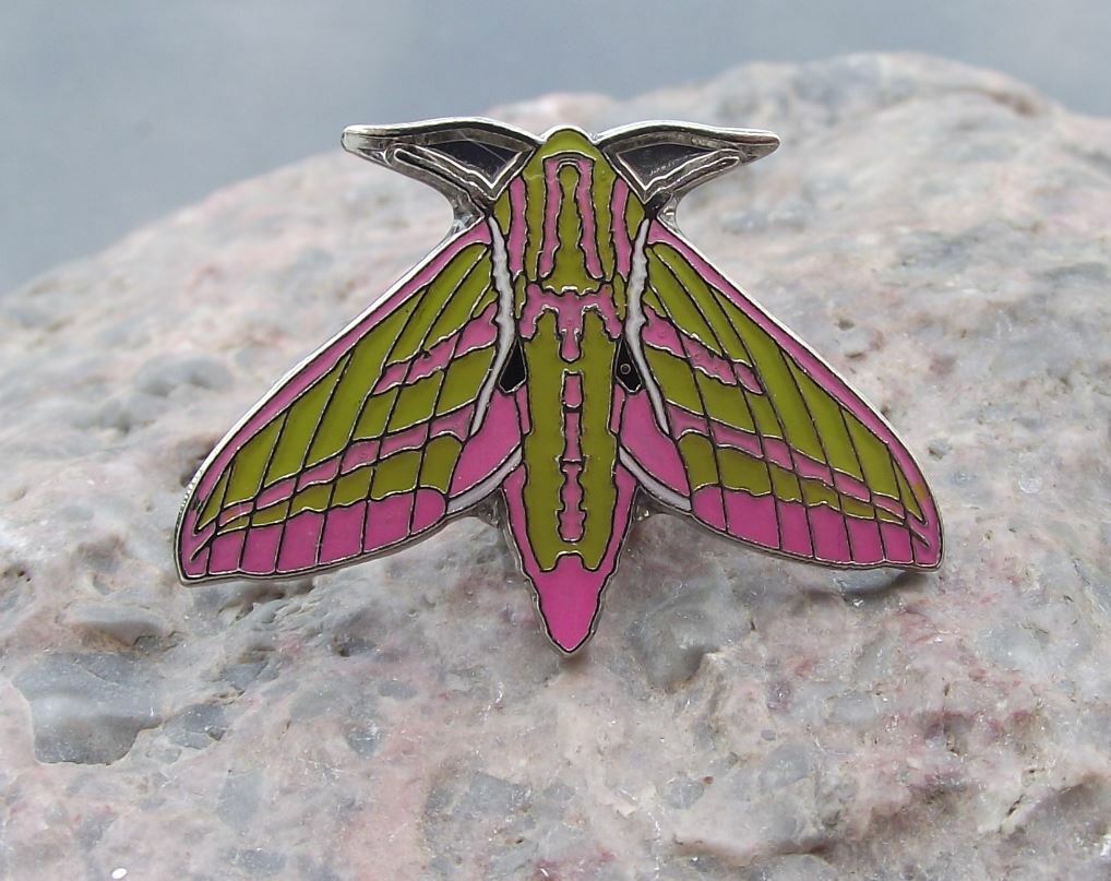 Elephant Hawk Moth Deilephila elpenor Butterfly Hawkmoth Brooch Pin Badge