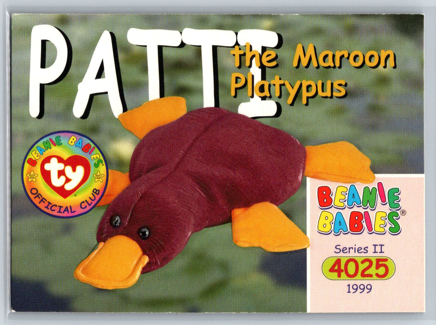 1999 Ty Beanie Babies Official Club Patti the Maroon Platypus Trading Card #205