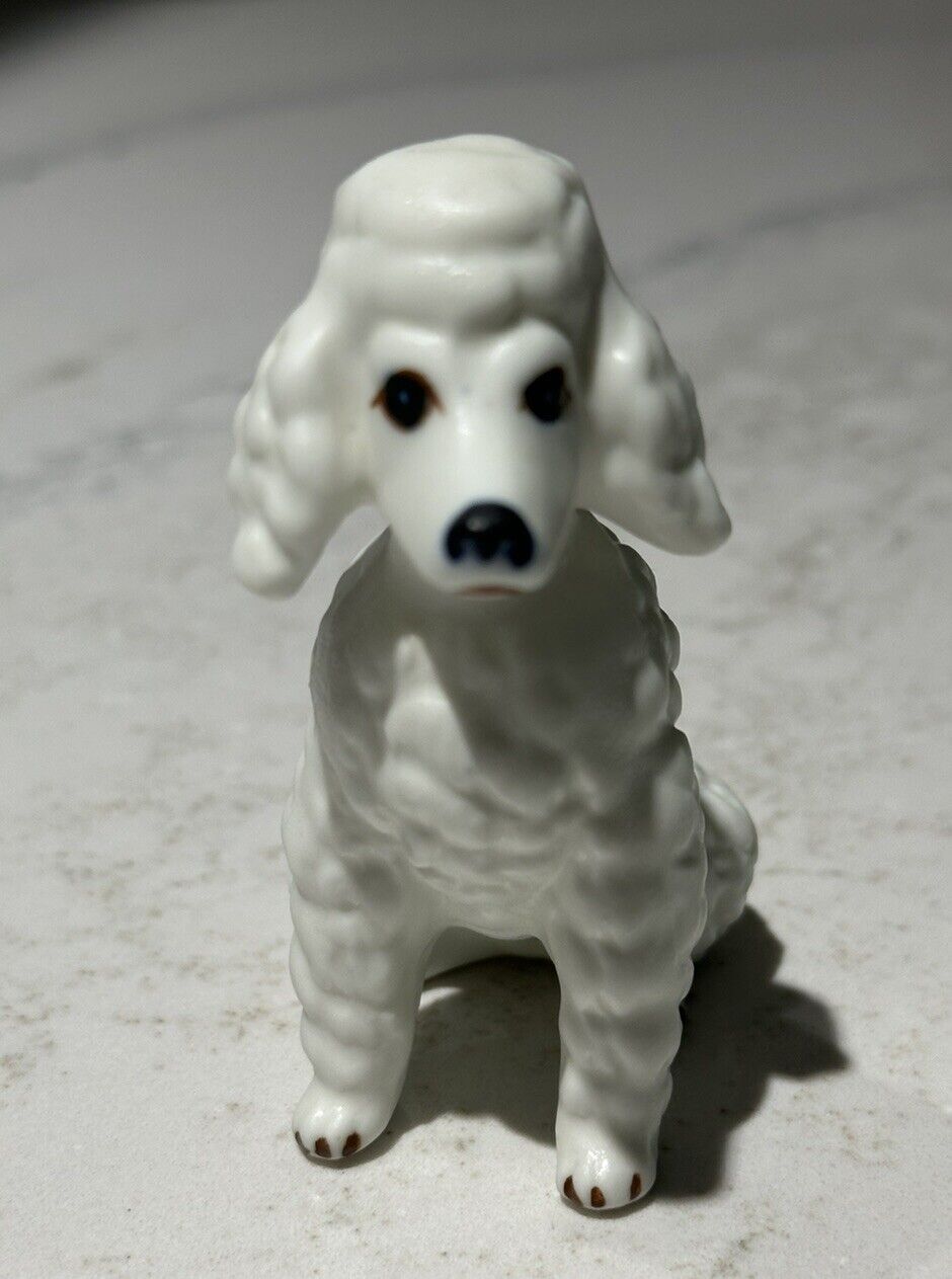 Vintage Rare Ceramic White Poodle Dog (SL)