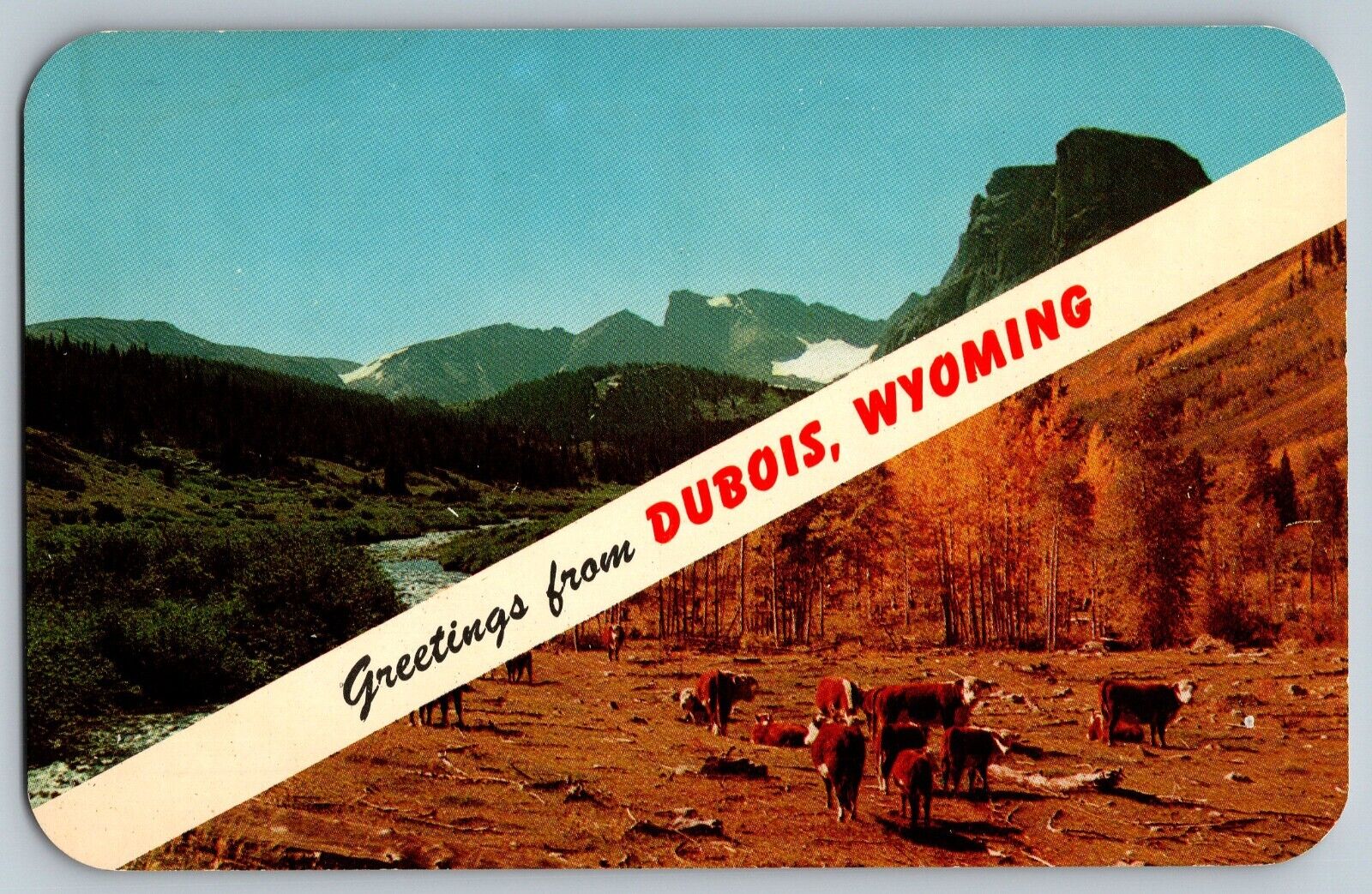 Dubois, Wyoming - Greetings - Old Western Cowtown - Vintage Postcard - Unposted