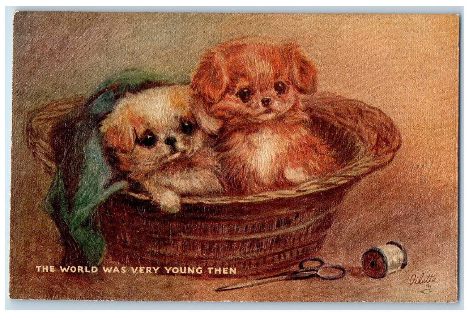 Postcard World Was Very Young Two Shih Tzu Basket c1910 Oilette Tuck Dogs