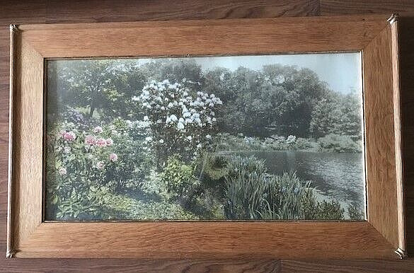 Rare Huge David Davidson Hand Tinted Photograph Print Jamaica Pond Boston