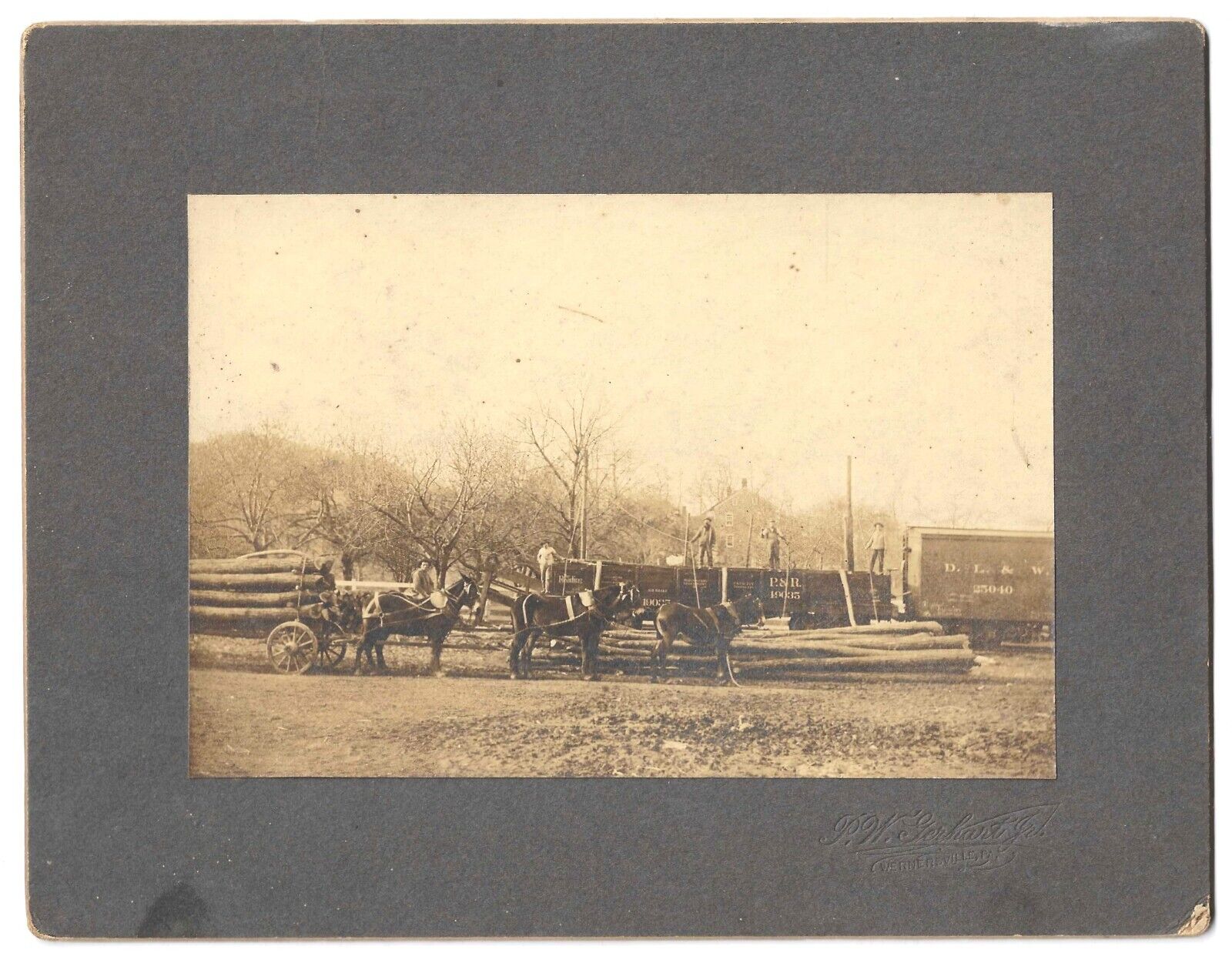 Old Cabinet Photo Loading Logs On P & R and D L & W Train Cars Wernersville, PA