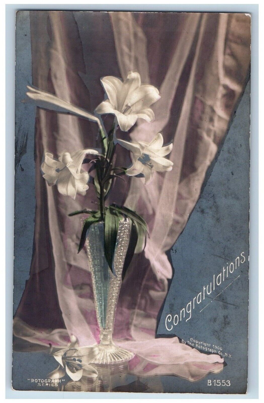 Congratulations Postcard RPPC Photo Lily Flowers In Vase Rotograph c1905 Antique
