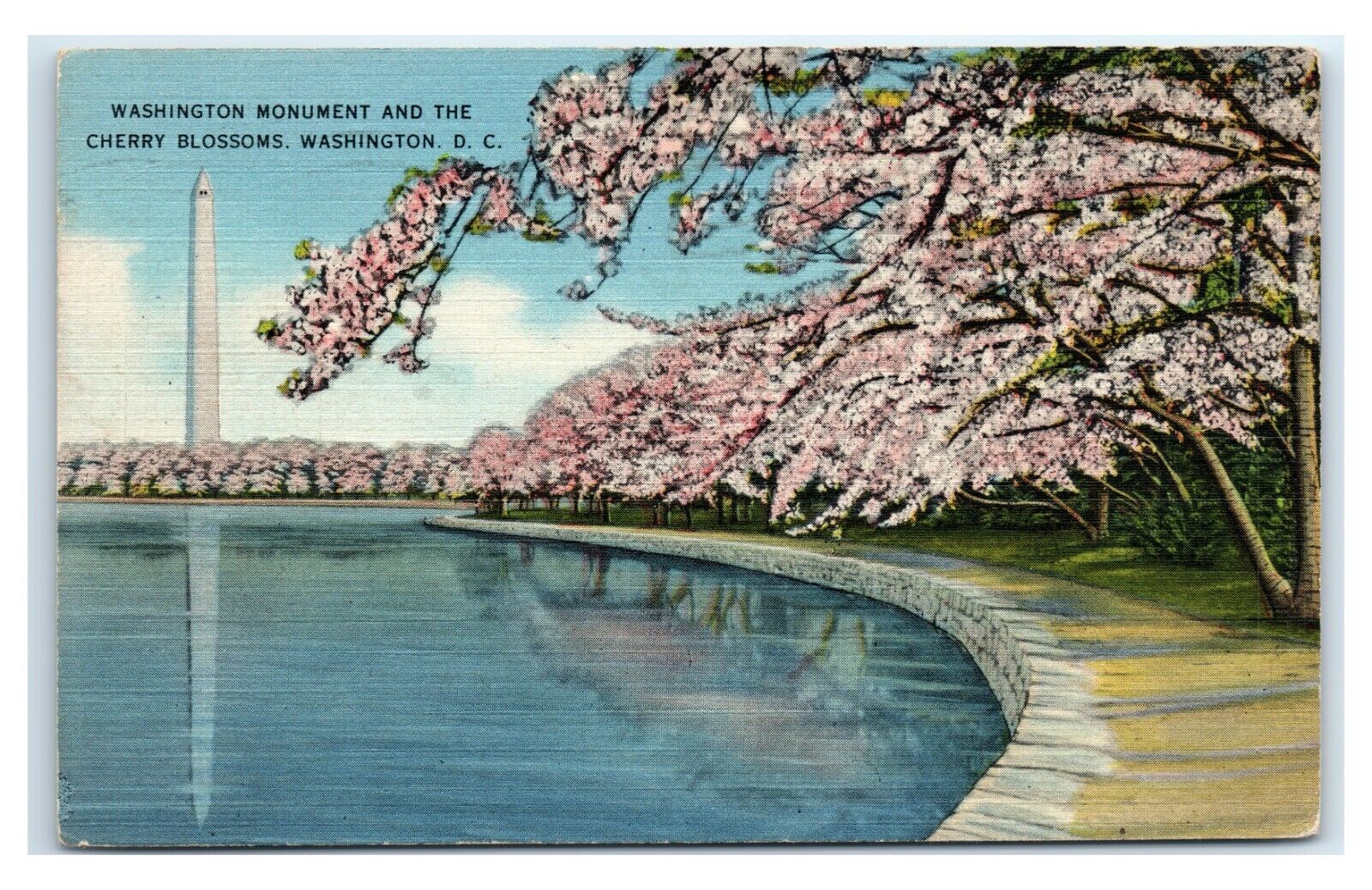 Postcard Washington Monument and the Cherry Blossoms, DC 1975 H25