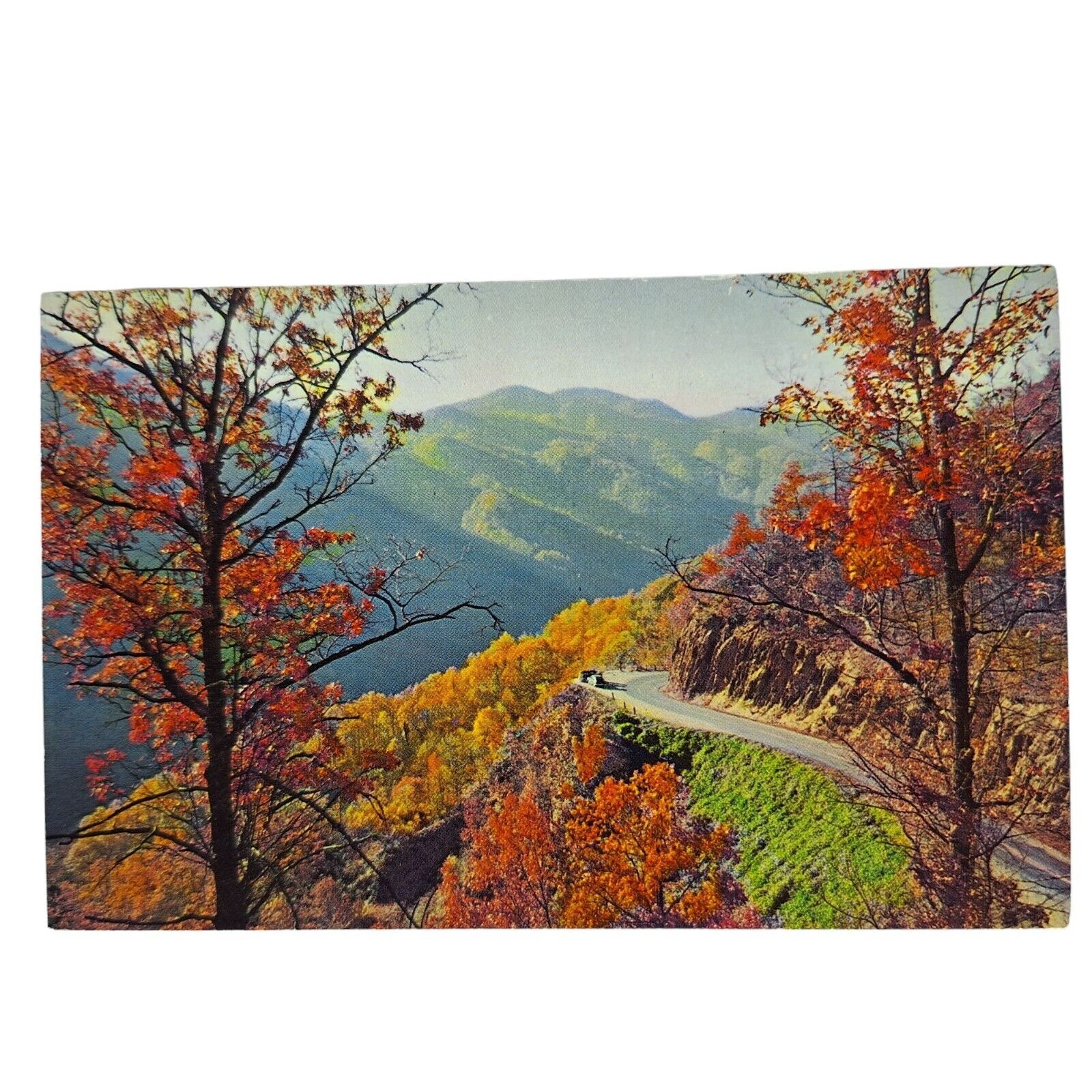 Postcard Autumn Scene On Newfound Gap Highway Great Smoky Mountains Chrome