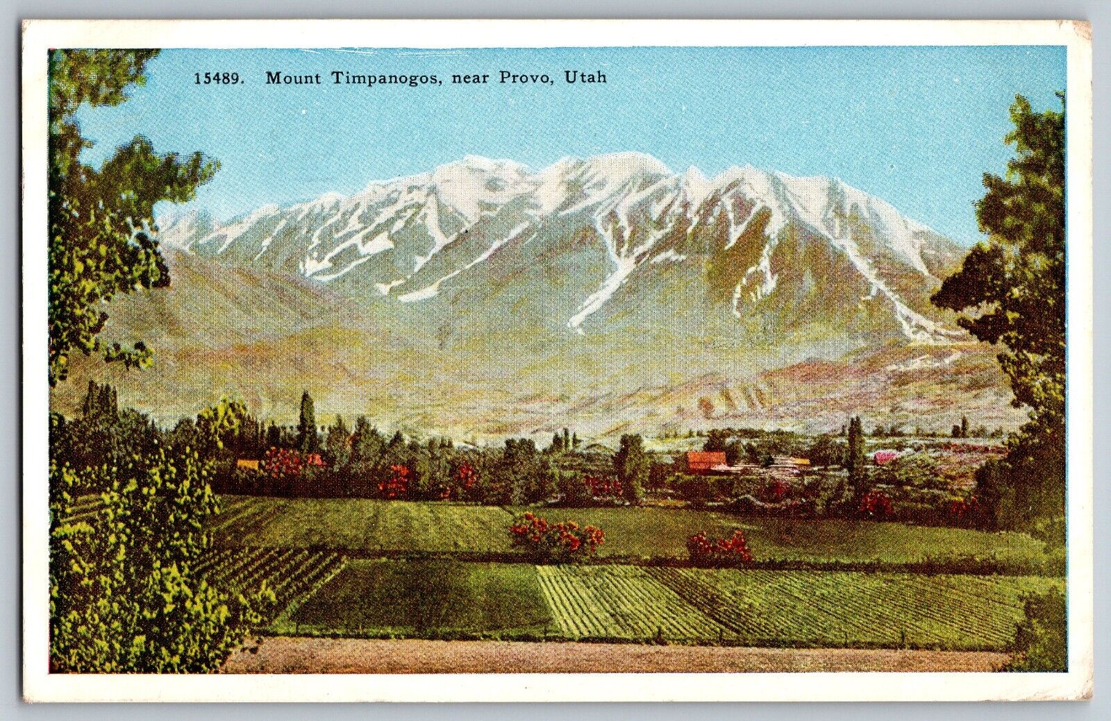 Provo, Utah UT - The Mountain Timpanogos - Divided - Vintage Postcard - Posted