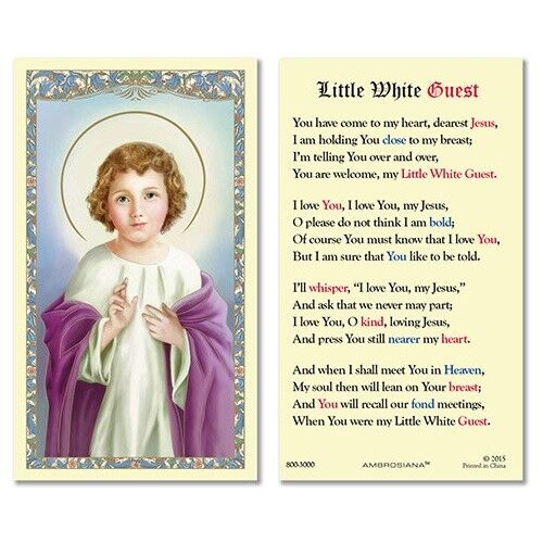 Little White Guest Christ Child Jesus Laminated Holy Card