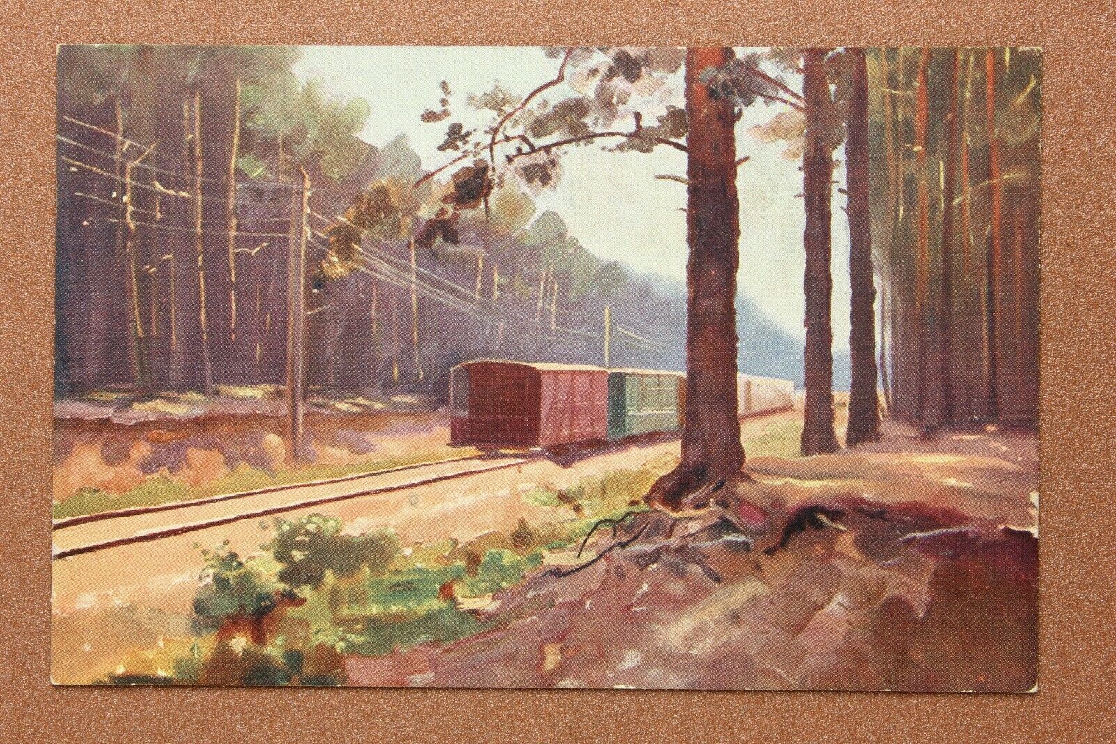 Russia Sestroretsk railway by KALUGIN. Tsarist Russia postcard Red Cross 1909s🚆