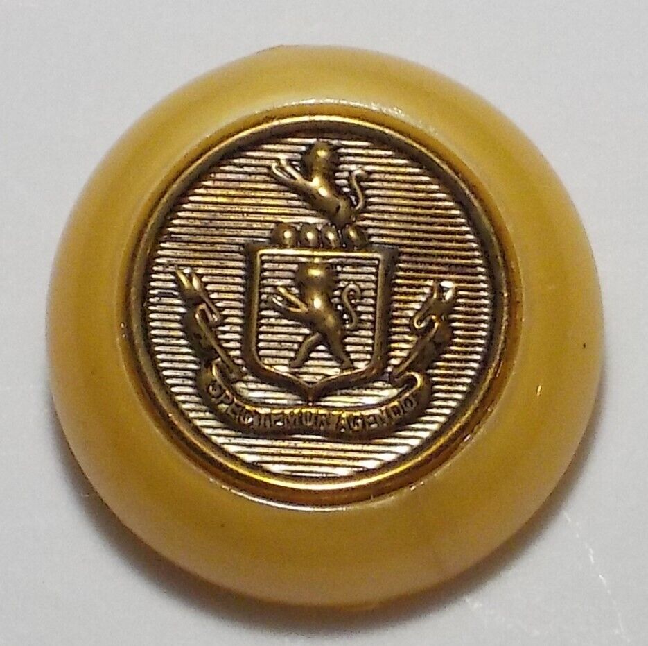 Vintage Spectemur Agendo Plastic Button OME Antique Brass Heraldic Relief Design