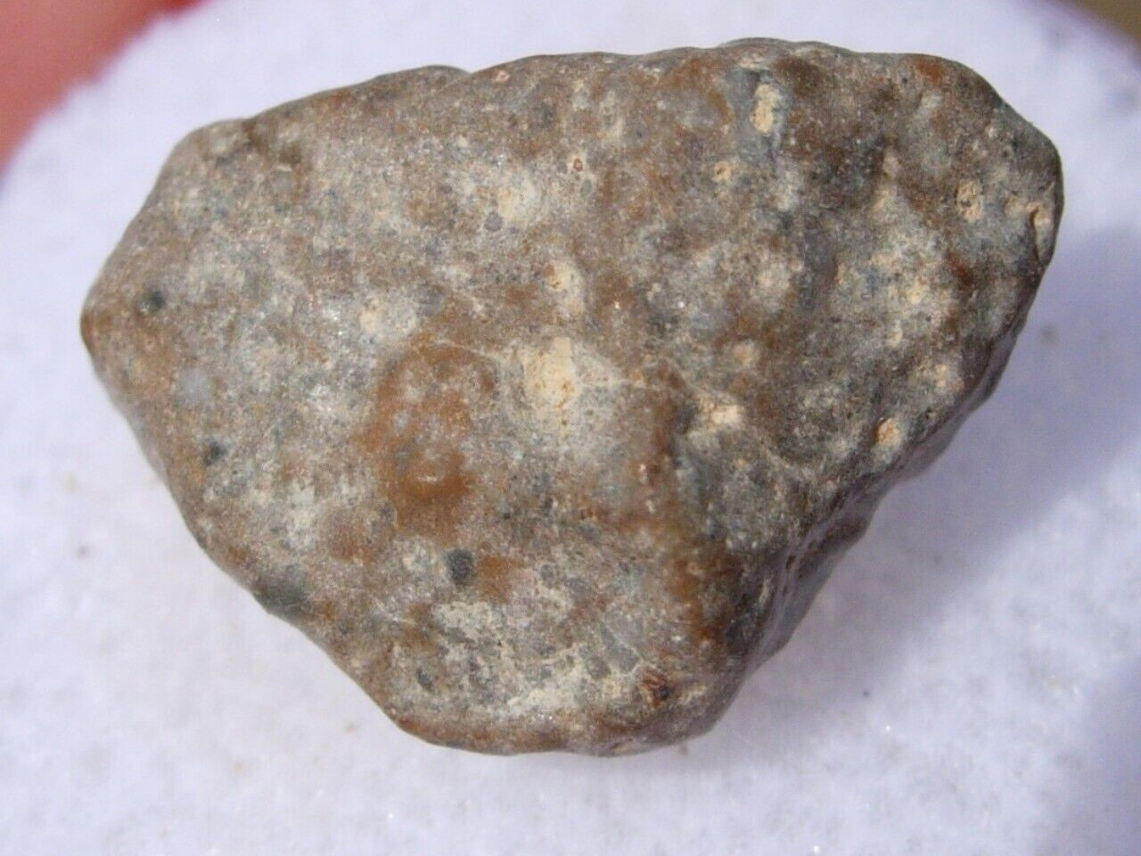 1.68 grams 15x9x8mm NWA 13974 Lunar as found Meteorite feldsp. breccia w/COA