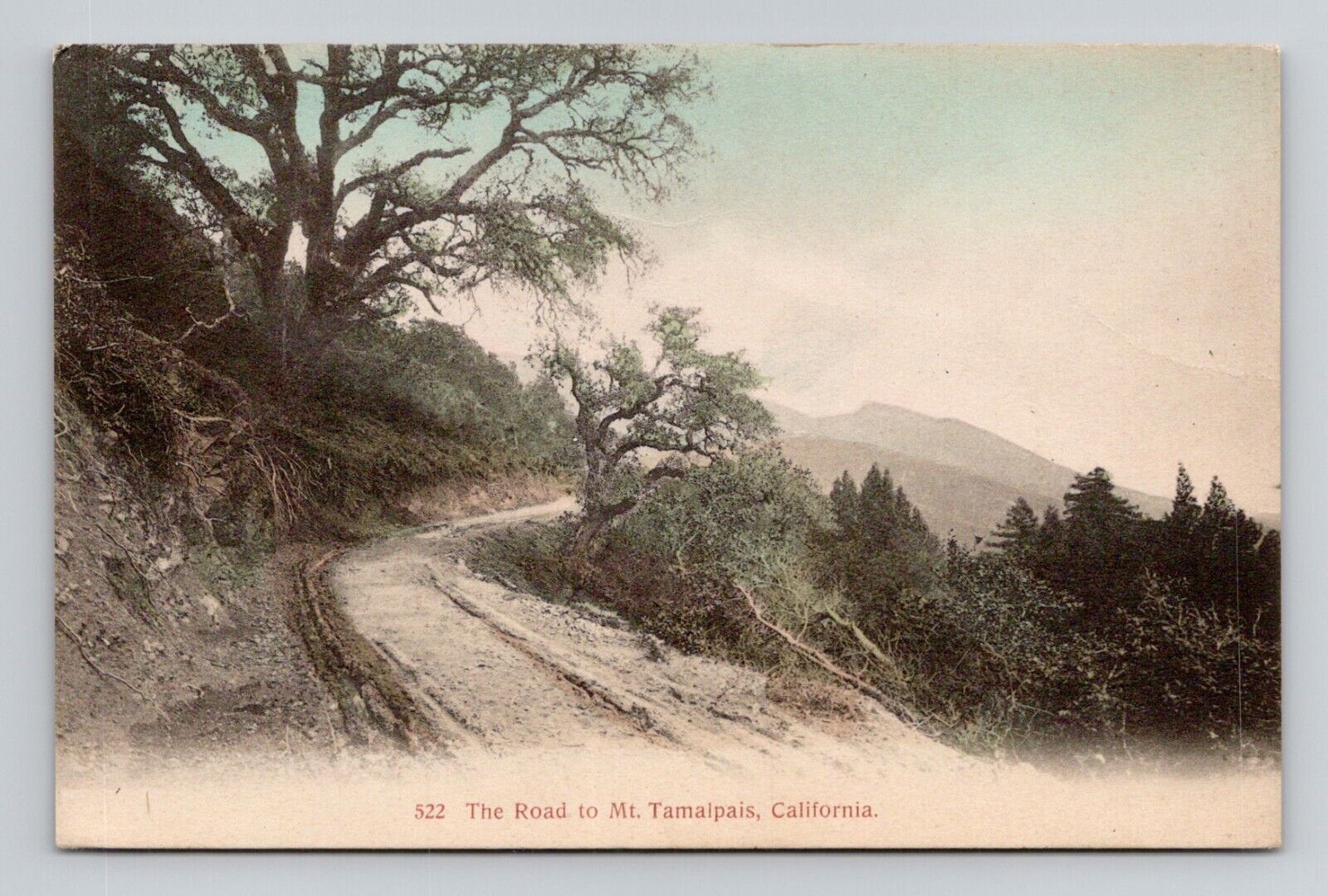 Postcard Road to Mt Tamalpais Mill Valley California CA, Antique L10