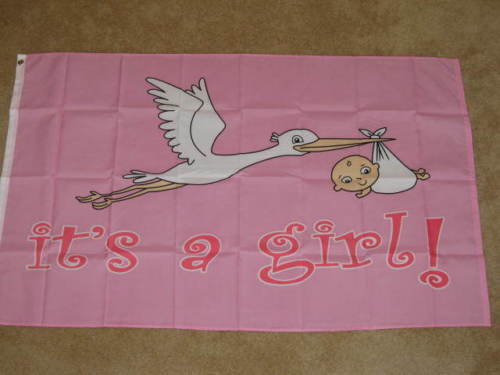 3X5 ITS A GIRL MATERNITY FLAG BABY NEW BABIES F150