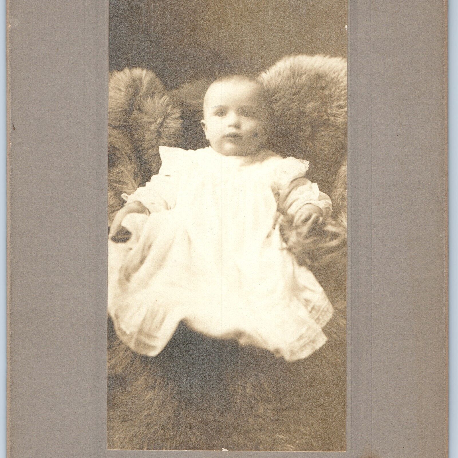c1900s Clyde, OH Baby Sitting in Fur Tall Cabinet Card Photo Antique Ohio 1G