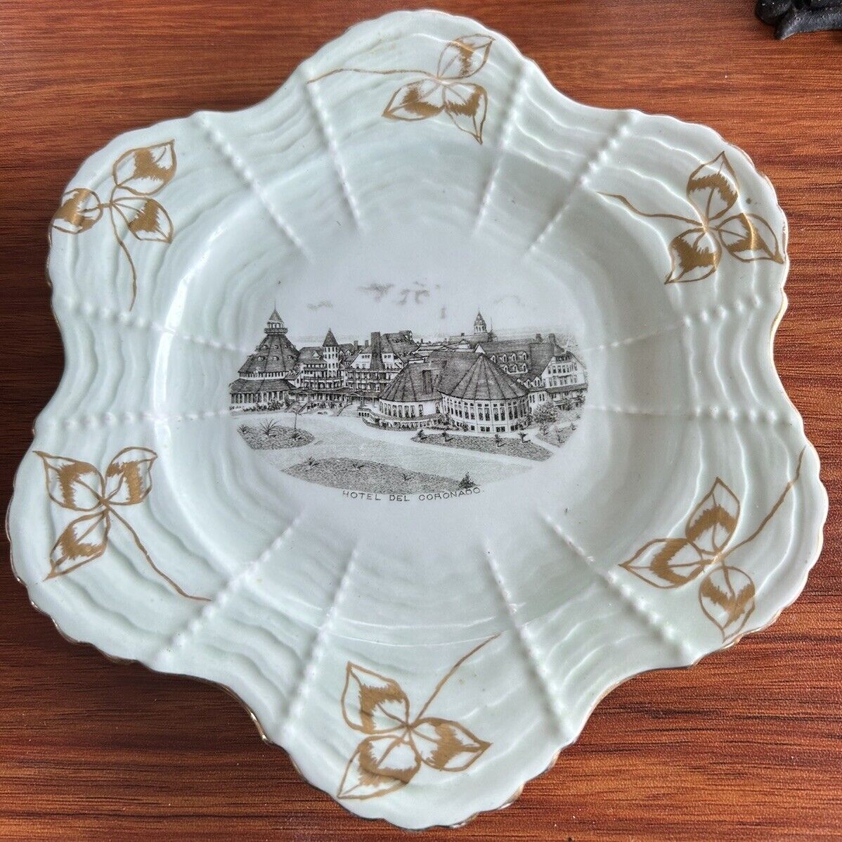 Antique Hotel Del Coronado Plate 1893 Hopkins & Cox England