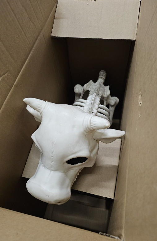 Cow Skeleton Halloween Decorative Prop - Tractor Supply