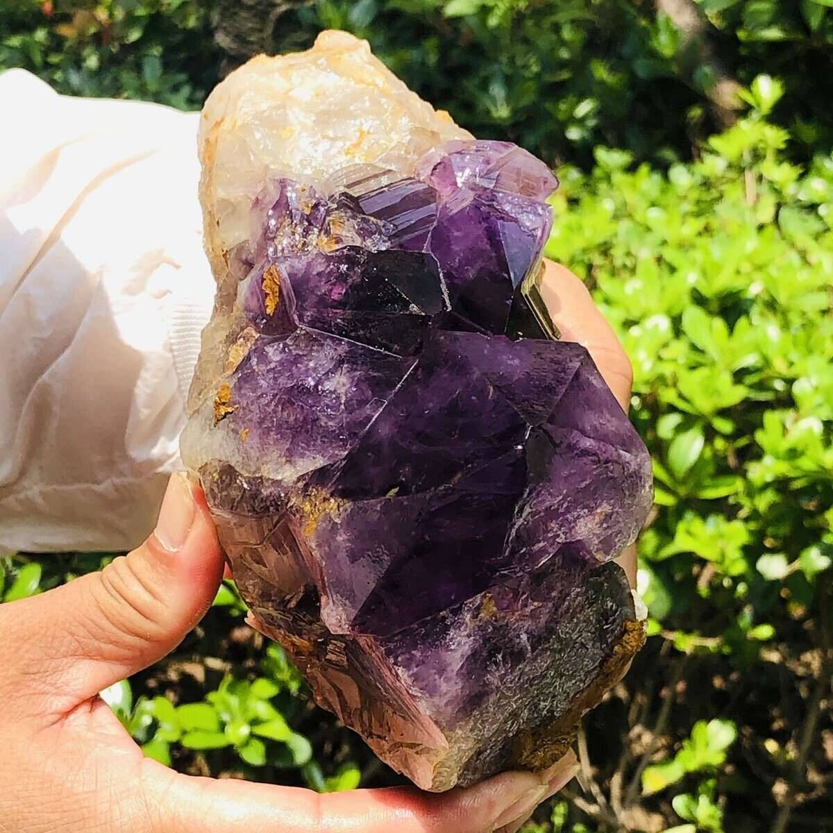 3.52LB Natural Amethyst Cluster Purple Quartz Crystal Rare Mineral Specimen 460