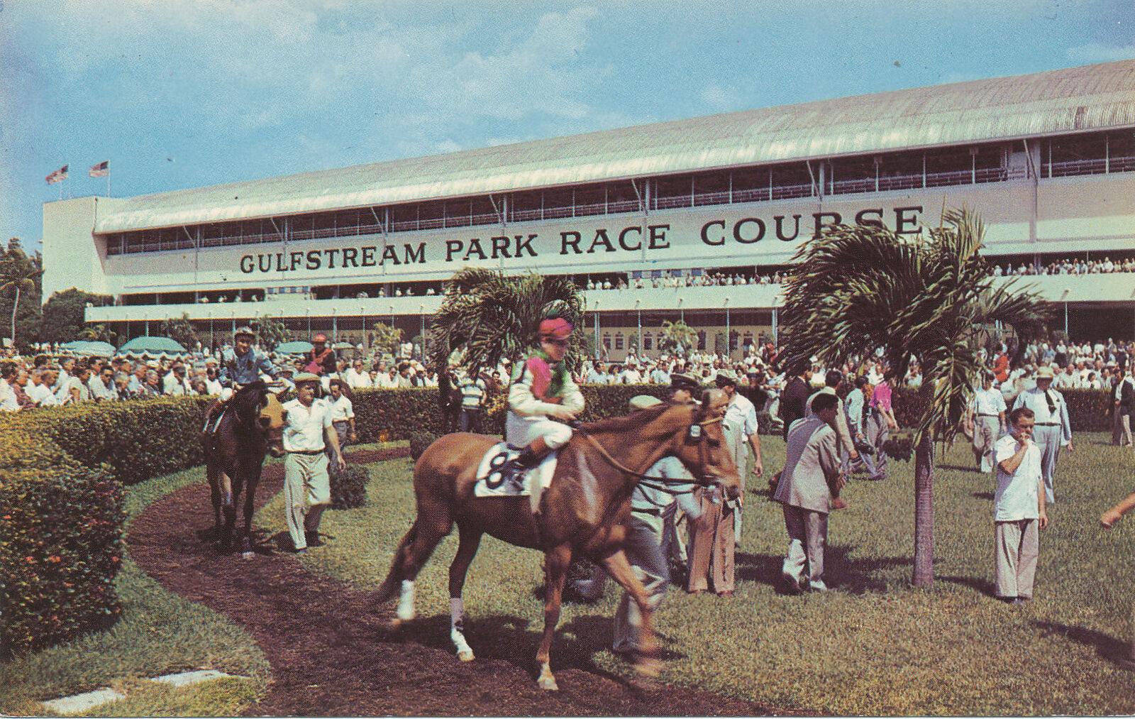 FL, HALLANDALE -- GULFSTREAM RACE COURSE - HORSES (postcard)