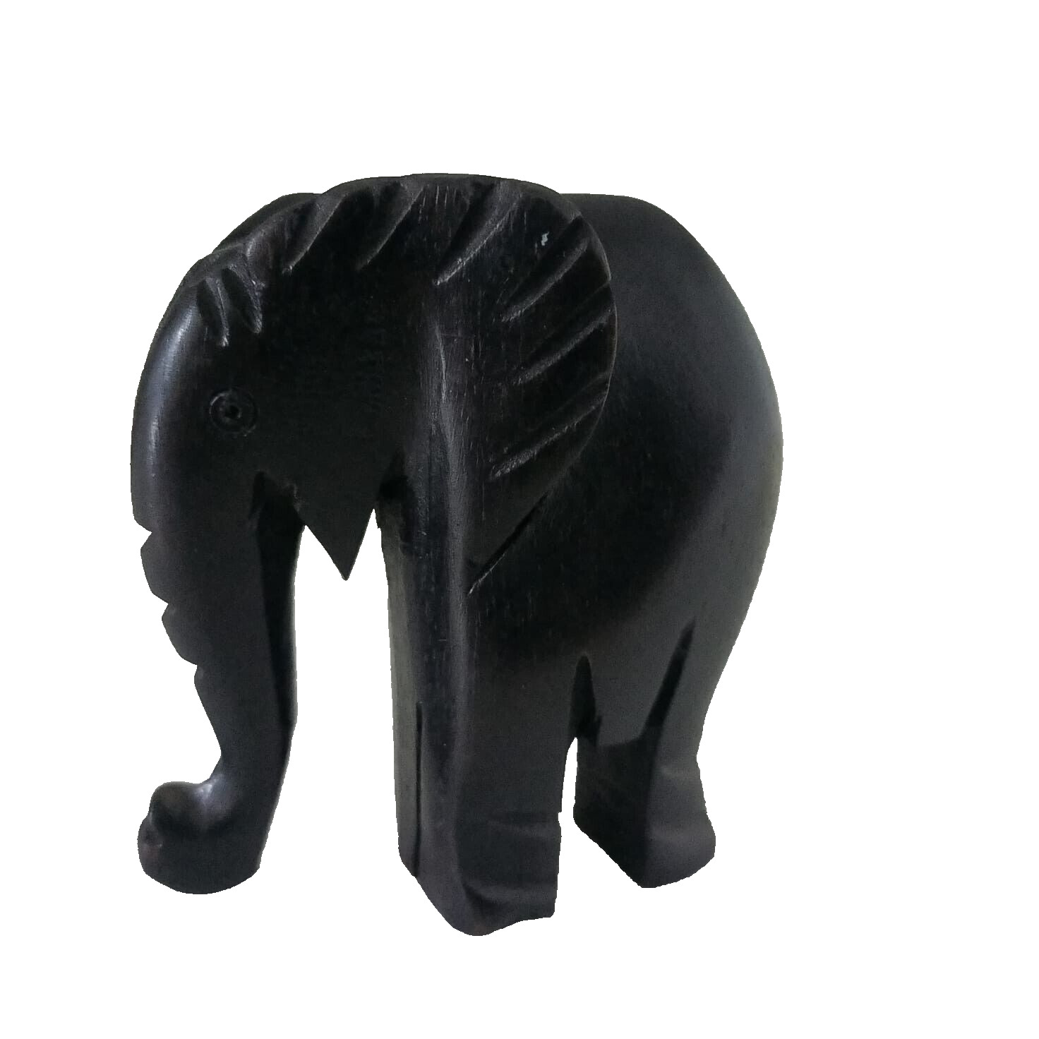 Elegant Black Elephant Animal